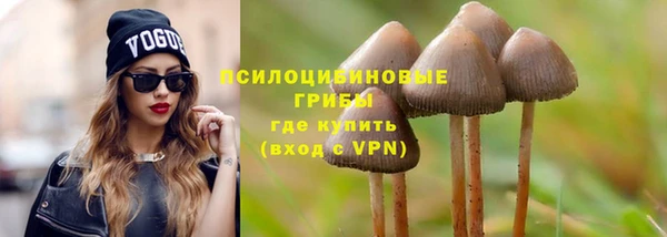 PSILOCYBIN Инсар