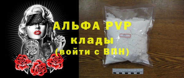 PSILOCYBIN Инсар