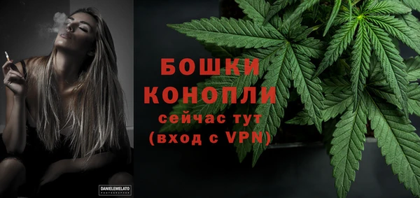 PSILOCYBIN Инсар
